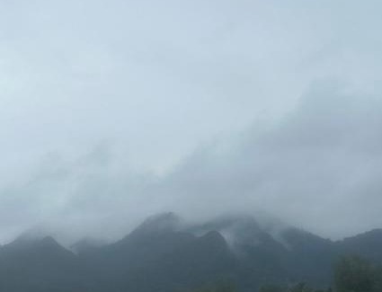 Bai Lan Resort | LITTLE EDEN Bungalows