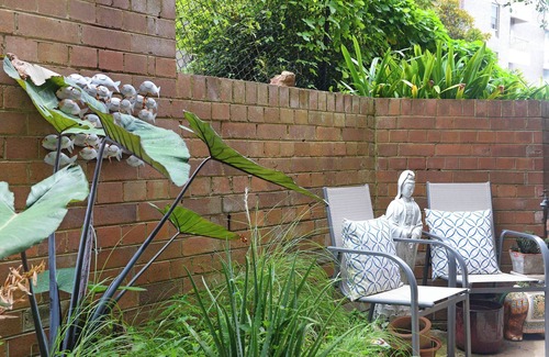 Coogee Apartment | Little green paradise