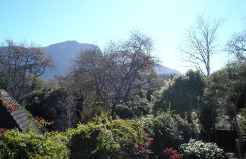 Constantia House | Little House Villa