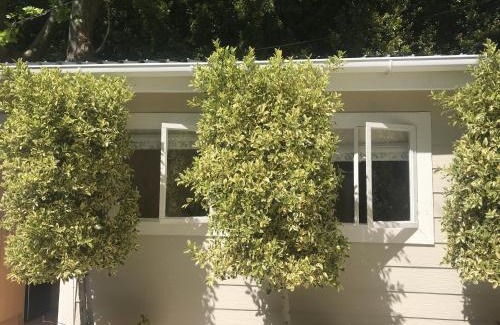 Constantia House | Little House Villa