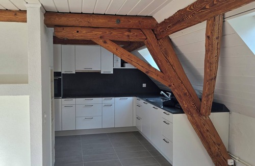 Teufenthal Apartment | Little Nest - Nature & tranquillity between lakes & castles