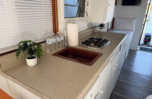 New Tazewell Boat Rental | Little Palm Tiny Houseboat on Norris Lake!