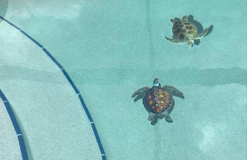 River Park House | Little Piece Of Heaven, on the river