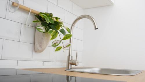 Torre Annunziata House | Little Suites Pompeii