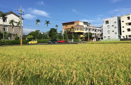 Dongshan Bed & Breakfast | Little Sunshine B&B