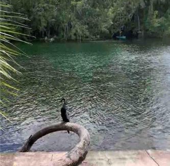 Fellowship House | Little Sunshine