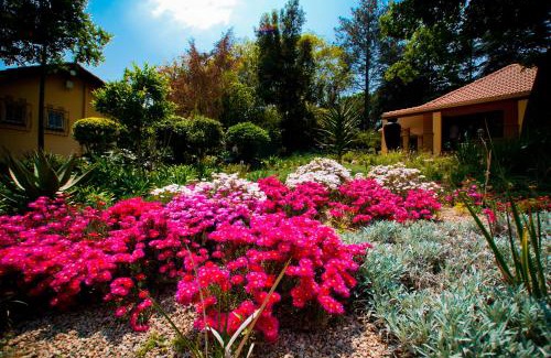 Greater Johannesburg Metropolitan Area Hotel | Little Tuscany Boutique Hotel