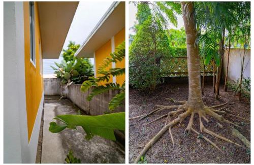 Krabi House | Little Yellow House- AoNang