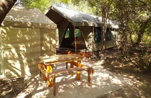 Thorny Bush Game Reserve Other | Little5 Camp