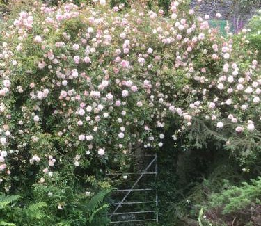 Settle Bed & Breakfast | Littlebank Country House