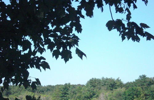 Kenyon House | Live the pond life