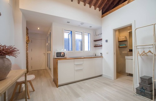 Centro Apartment | Living4malaga Skyline Rooftop Jacuzzi