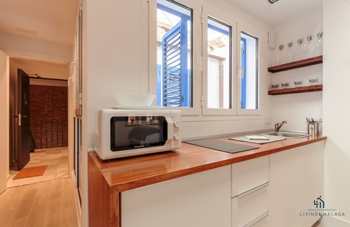 Centro Apartment | Living4malaga Skyline Rooftop Jacuzzi