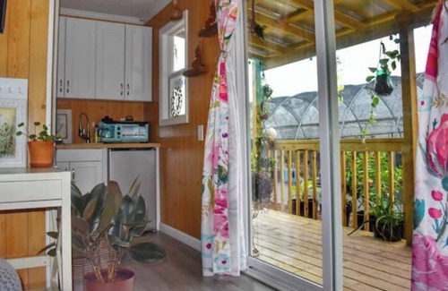 Willard Other | Lizzy Lou's Flower House - The Bluebelle