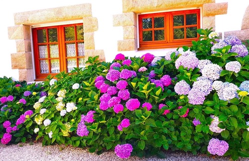 Sene Apartment | Location Studio Séné Vannes et ses Chemins Littoraux