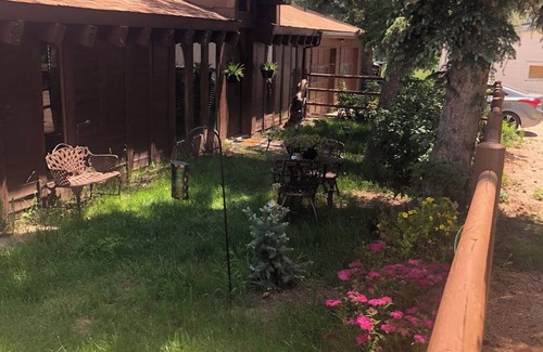 Elbert Cabin | Lodge on equestrian ranch .hot tub and high speed fiber optic !