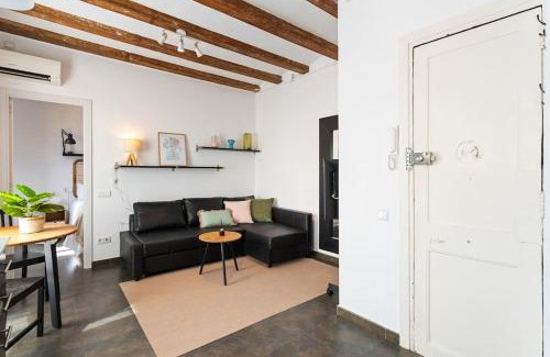 Barceloneta Apartment | Lodging Apartments Almirall Beach 52