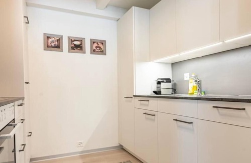 Central Interlaken Apartment | Loft Apartment "Henrik" Höhenmatte