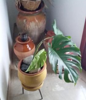 Castello de Farfanya House | Loft Castelló