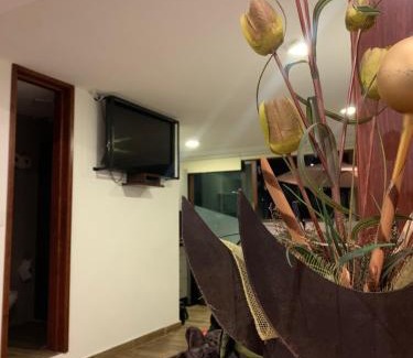 Zacatlan Apartment | Loft Don Silver