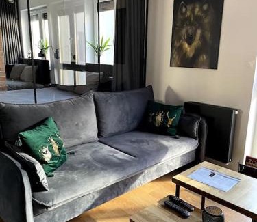 Torun Apartment | LOFT Mickiewicza