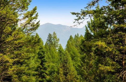 Bigfork House | Log Cabin Lookout