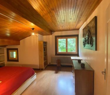 Les Houches Apartment | Logement mansardé dans maison avec jardin en bord de piste, vue montagne