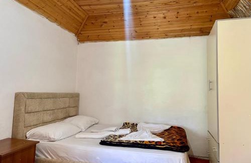 Theth House | Lokthi Guesthaose