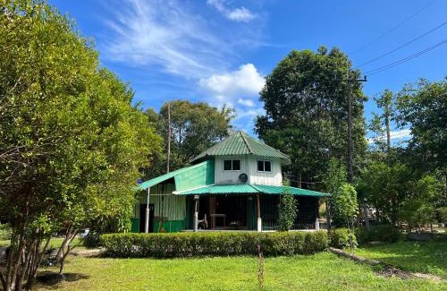 Khong Koi Beach Resort | LONELY GROOVE