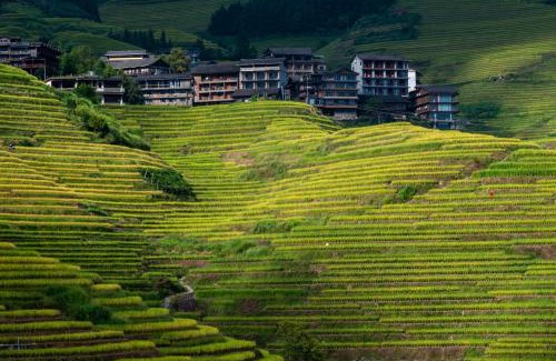 Longsheng Various Nationalities Autonomous County Hotel | Longsheng Longji Rice Terraces Jingyue Hotel 龙胜龙脊梯田境悦酒店