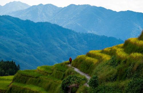 Longsheng Various Nationalities Autonomous County Hotel | Longsheng Longji Rice Terraces Jingyue Hotel 龙胜龙脊梯田境悦酒店