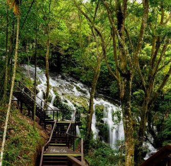 Meishan House | Look Tea House