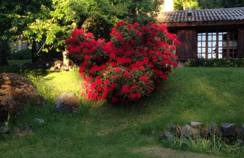 El Bolson Bed & Breakfast | Los Abetos B&B 4