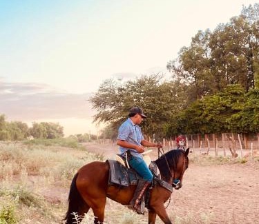 Mazatlan House | Los Quintero