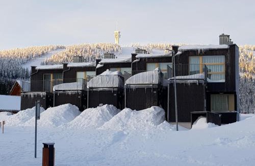 Loucna Pod Klinovcem Apartment | Loučná pod Klínovcem 124/1
