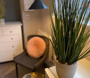 Dudley Apartment | Lovely 1 bed Studio Apartment