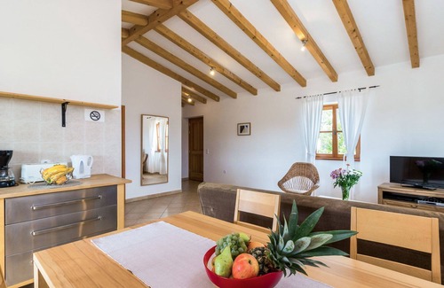 Stifanici Apartment | Lovely apartment for 4 guests with pool, WIFI, A/C, TV, terrace and pets allowed