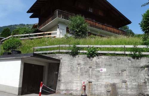 Lenk Apartment | Lovely apartment for 8 guests with WIFI, balcony and pets allowed
