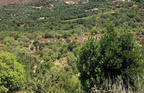 Feliceto Condo | Lovely apartment in a typical Balagne village.