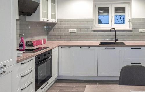 Buzdohanj Apartment | Lovely Apartment In Cernik With Wi-Fi