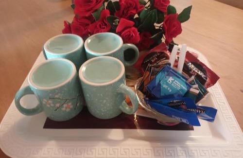 Mount Lavinia Bed & Breakfast | Lovely FLowers in Mount Lavinia