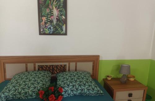 Mount Lavinia Bed & Breakfast | Lovely FLowers in Mount Lavinia