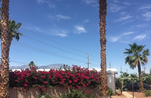 Thousand Palms House | Lovely Landscaped Private Yard Snuggled In The Sunny Desert