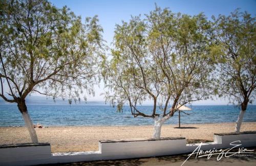 Amarinthos Apartment | Lovely sea apartment Amarynthos