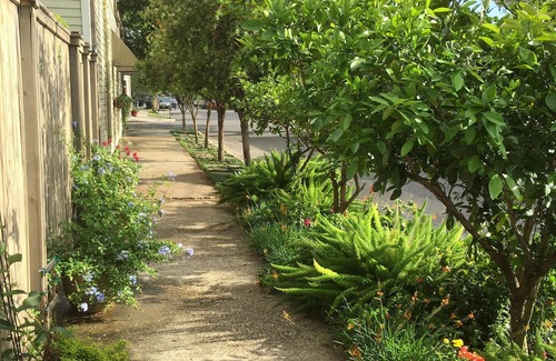 Uptown Historic District House | Lovely uptown camelback available; two bedrooms on private floor.