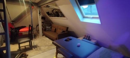 Saint-Amarin Apartment | LoveRoom thème cinéma