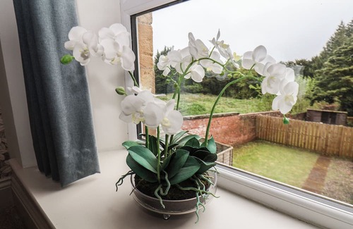 Easington Cottage | Low Moor