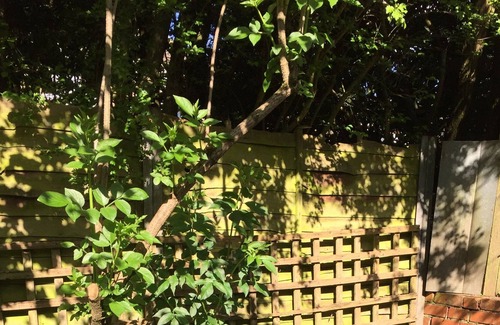 Birmingham Bed & Breakfast | Lowri Cottage BnB