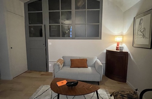 Clermont Ferrand City Centre Apartment | Lucas II Appartement 35 m2 Hôtel Particulier XII eme Siecle