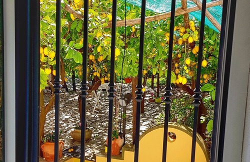 Minori Villa | Lulu's Lemon Grove, vacation among the lemons!
